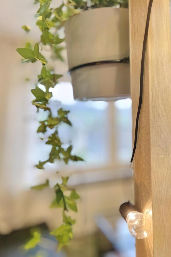 Ruhiges Naturparadies Fuer 4 Mit Kueche Schreibtisch Und Boxbett 베터 외부 사진